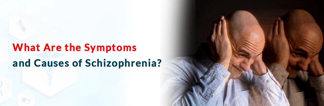  What Are the Symptoms and Causes of Schizophrenia?